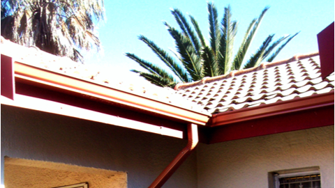 shutterstock_image (17)